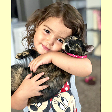 Pet Picture